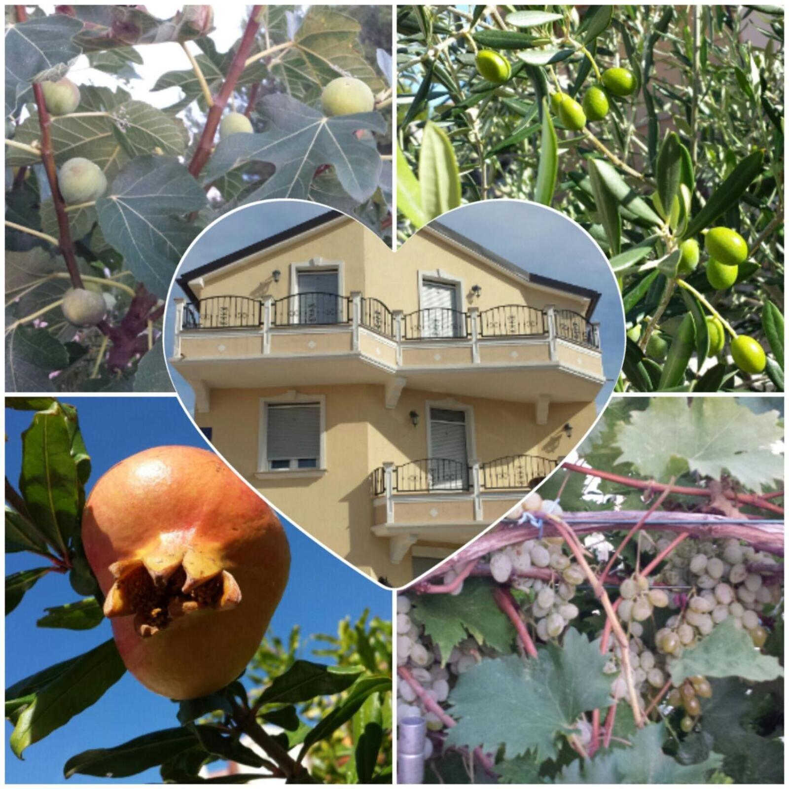 Villa Magdalena Vodice Esterno foto